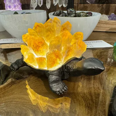 Citrine Crystals Shop Savannah