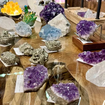 Amethyst, Pyrite, Quartz Crystal Shop Savannah
