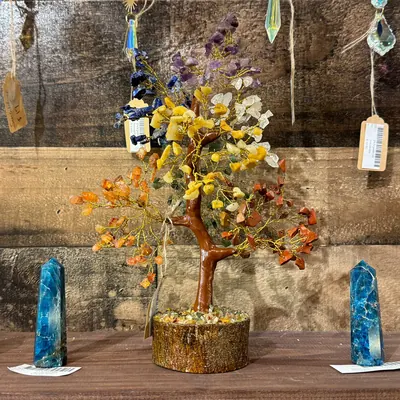 chakra tree crystals savannah